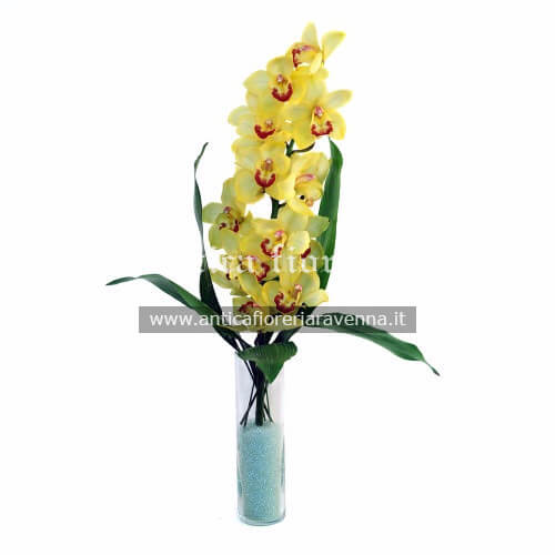 Stelo cimbidium colori tendenti al giallo o verde, con fogliame