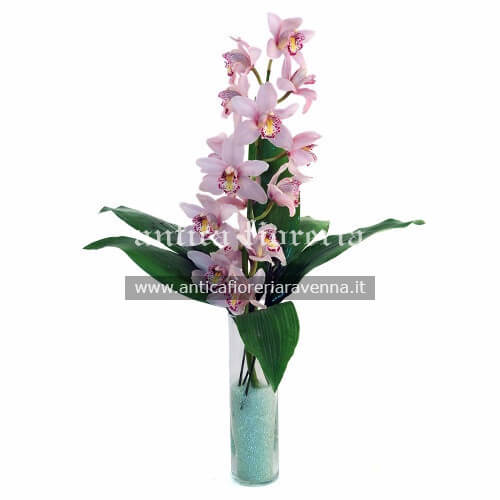 1 stelo cimbidium colore rosa o chiaro